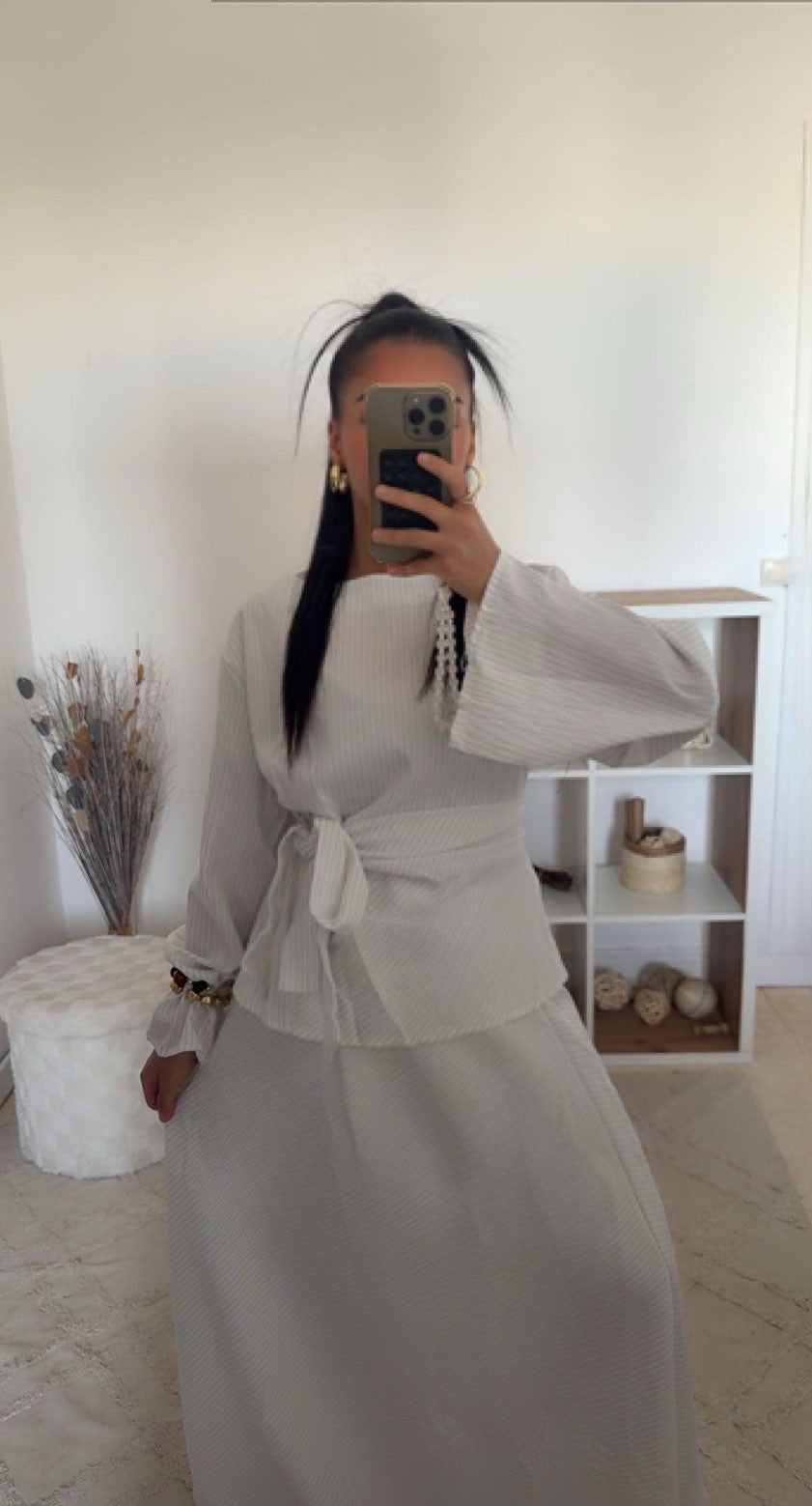 Ensemble Zébra